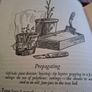 Gardening Image 6