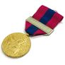 Vintage Bronze Artillery French National Defence Medal Image 4