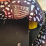 skechers bobs canvas trainers Size 7 eu 40 Black in excellent condition Image 10