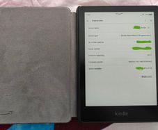 Kindle Paperwhite (11th Generation) + Official Amazon Case