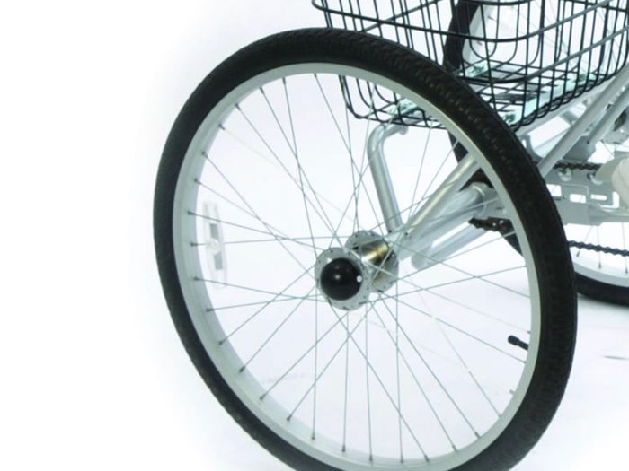 Special Needs Bike.