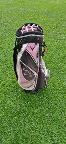 Ladies Callaway Golf Cart Bag