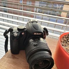 Nikon D5000 DSLR + Fujifilm FinePix 30x Zoom Camera