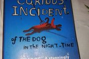 The curious incident of the dog in the night