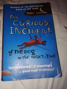 The curious incident of the dog in the night