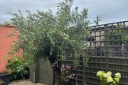 Soft landscaping services North Dublin