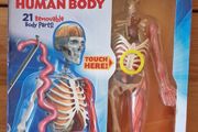 Human Body Educational Toy