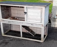 Rabbit/Guinea-Pig Hutch