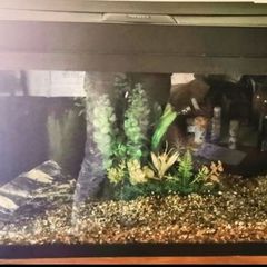 juwel fish tank