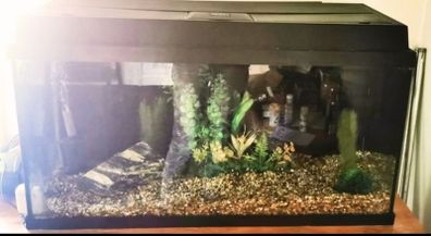 juwel fish tank