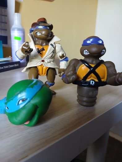 Teenage Mutant Ninja Turtles (TMNT)