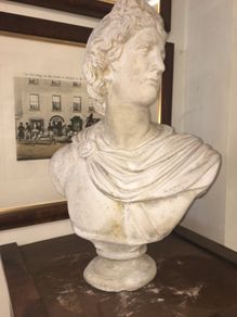 Bust