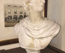 Bust