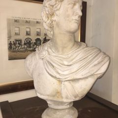 Bust