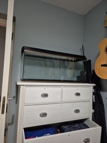 fish tank and hood