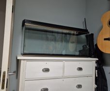fish tank and hood