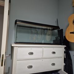 fish tank and hood