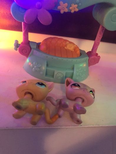 Littlest pet shop cats