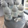 MAM microwave steam steriliser and bottles Image 2