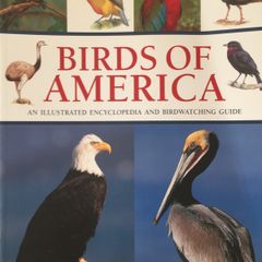 Birds of America