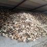 Hardwood firewood Image 3