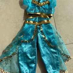 Disney Princess Jasmine costume