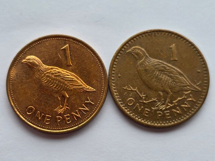 Gibraltar Coins Barbary Partridge 1p 1994 & 2013
