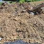 soil Image 2