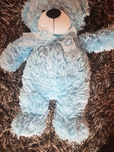teddy