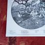 Lp The Grateful Dead Aoxomoxoa Lp Brand New Image 2