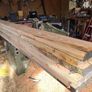 Douglas fir Image 2