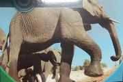 New Puzzle (dc 1236)