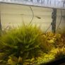 Fish tank with stock (110l) Image 2