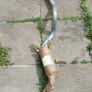 Land rover defender 300tdi exhaust Image 3