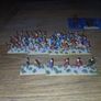 DBM 15mm Beja army Image 4