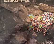 Chappo - Moonwater. Double LP with gatefold sleeve and free CD. 2012 release by US indie band. Electronica, rock. Super condition - played twice. Check them out on YouTube, they're very good. Bargain!