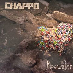 Chappo - Moonwater. Double LP with gatefold sleeve and free CD. 2012 release by US indie band. Electronica, rock. Super condition - played twice. Check them out on YouTube, they're very good. Bargain!