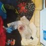 clothes 5-6 boy Image 3
