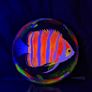 UV Blacklight Coral Reef Wall Art Painting Image 6