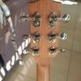 Sx 3/4 guitar Image 3