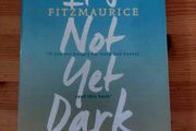 It's not yet dark. Simon Fitzmaurice