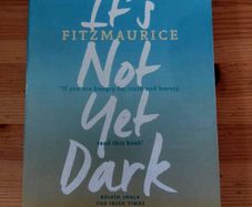 It's not yet dark. Simon Fitzmaurice