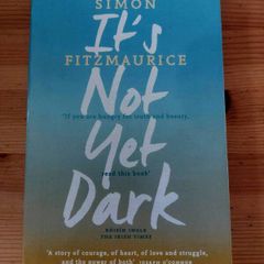 It's not yet dark. Simon Fitzmaurice