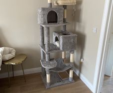 cat tree