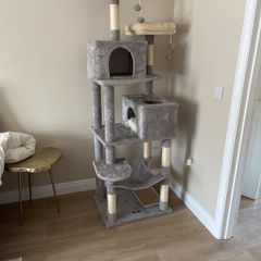 cat tree
