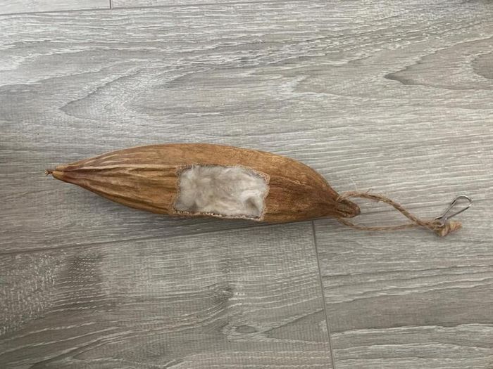 Pet parrot bird accessories mix