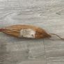 Pet parrot bird accessories mix Image 7