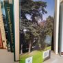 A Haven in Rathgar: St. Luke's and the Irish Experience of Cancer 1952-2007 by Tony Farmar (LP205) Image 6