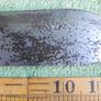 Vintage British Military Survival Knife Image 9