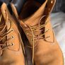 timberland Image 4